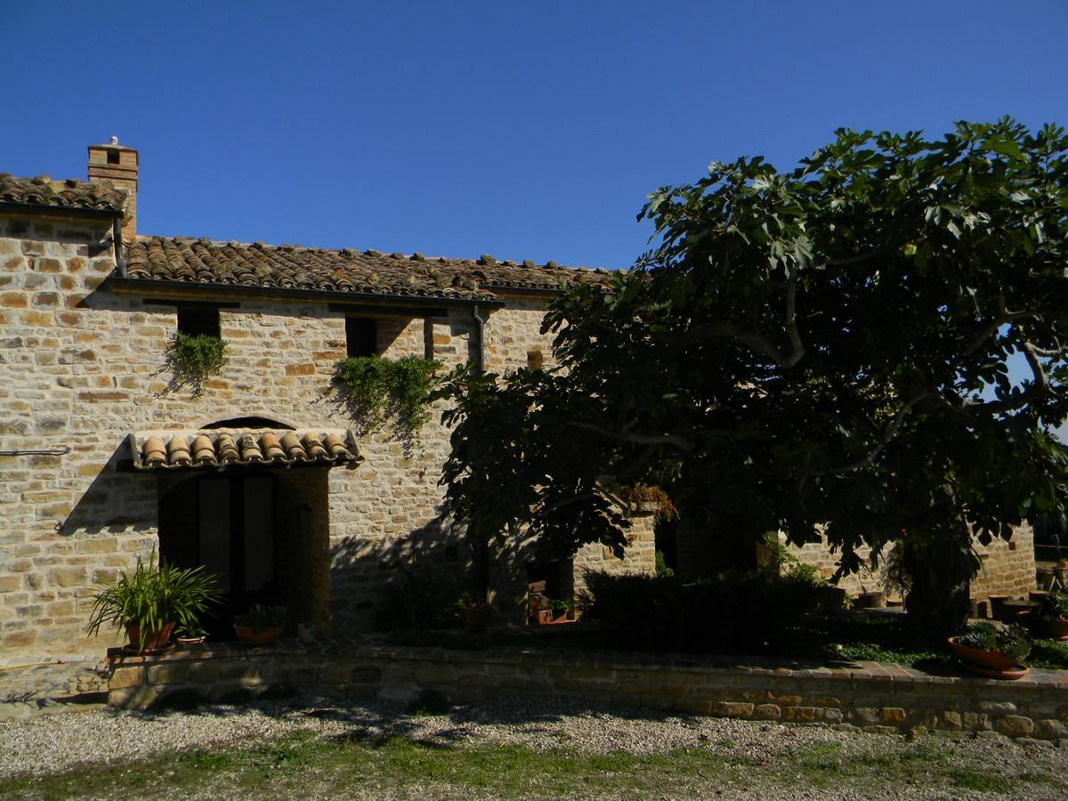 Azienda Agrituristica Colle San Giorgio Castiglione Messer Raimondo Εξωτερικό φωτογραφία