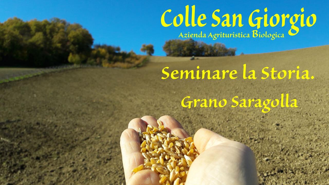 Azienda Agrituristica Colle San Giorgio Castiglione Messer Raimondo Εξωτερικό φωτογραφία