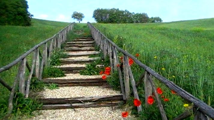 Azienda Agrituristica Colle San Giorgio Castiglione Messer Raimondo Εξωτερικό φωτογραφία